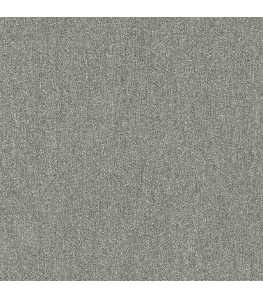 Papier Peint RASCH Colors VI 441611
