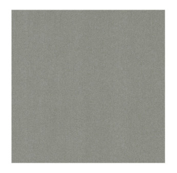 Papier Peint RASCH Colors VI 441611