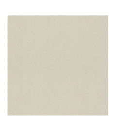 Papier Peint RASCH Colors VI 441642