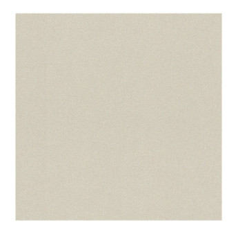 Papier Peint RASCH Colors VI 441642