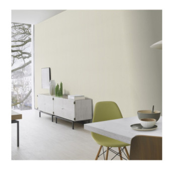Papier Peint RASCH Colors VI 441642