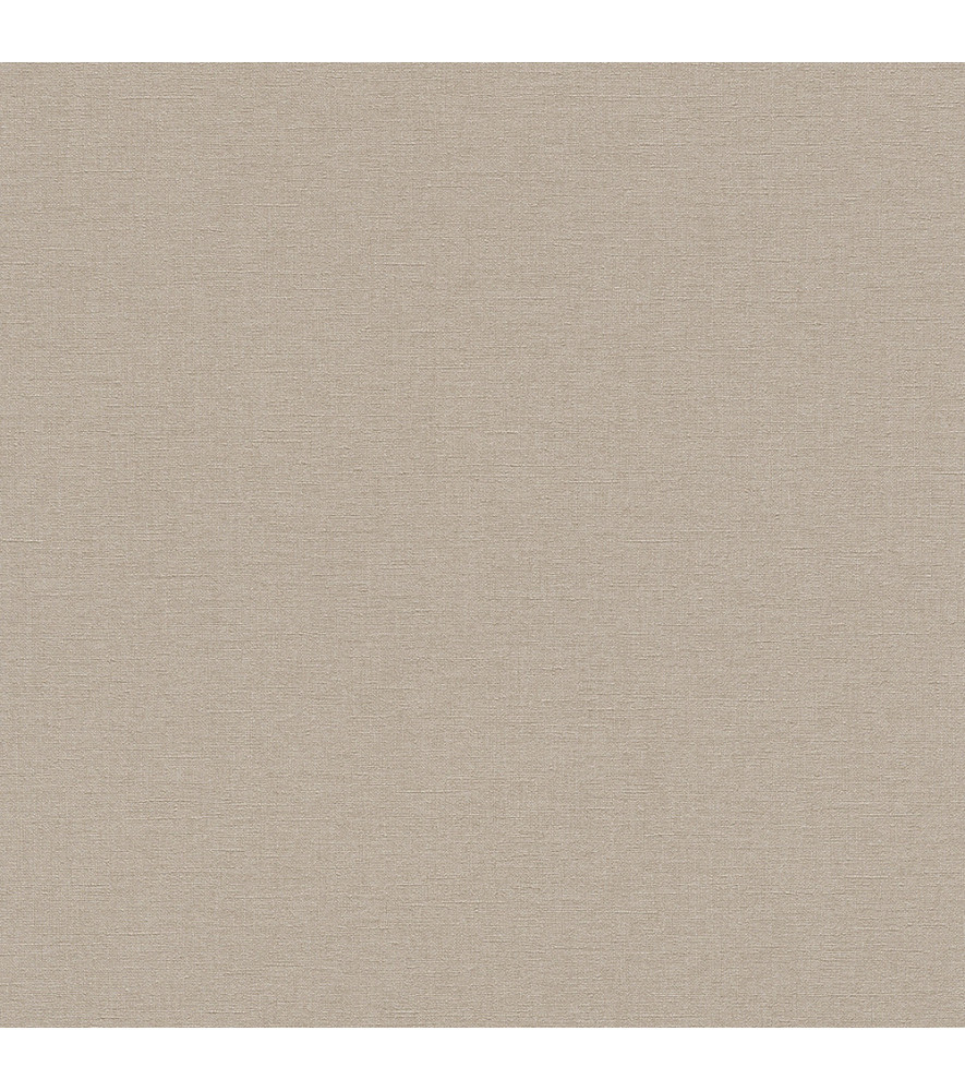 Papier Peint RASCH Colors VI 448566