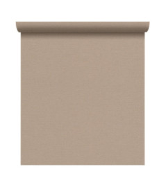 Papier Peint RASCH Colors VI 448566