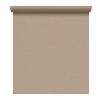 Papier Peint RASCH Colors VI 448566