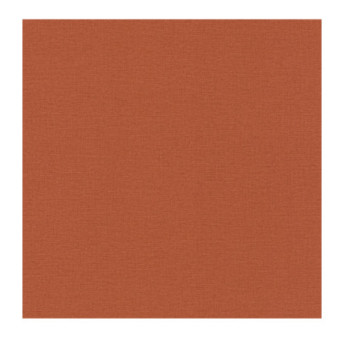 Papier Peint RASCH Colors VI 449051