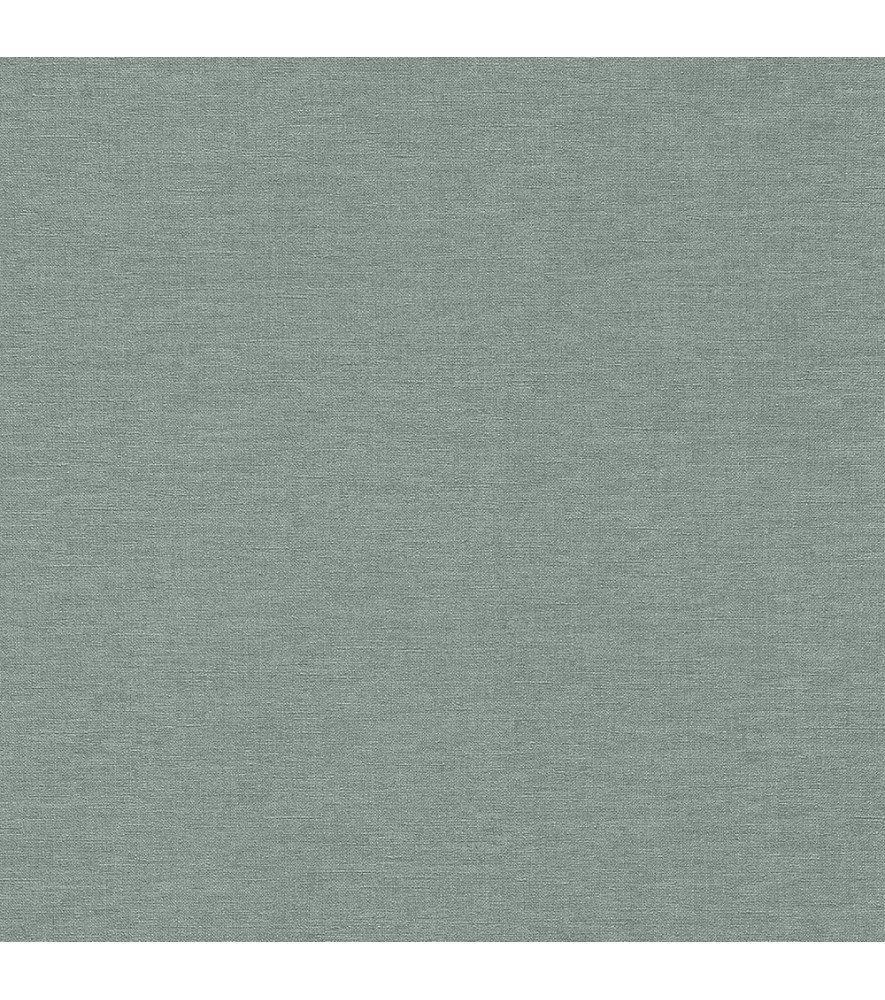 Papier Peint RASCH Colors VI 449846