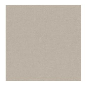 Papier Peint RASCH Colors VI 452020