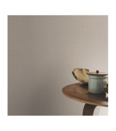 Papier Peint RASCH Colors VI 452020