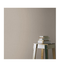 Papier Peint RASCH Colors VI 452020