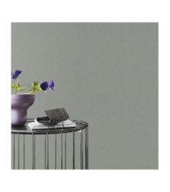 Papier Peint RASCH Colors VI 452051