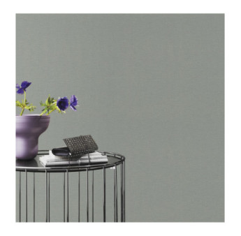 Papier Peint RASCH Colors VI 452051