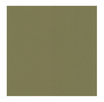 Papier Peint RASCH Colors VI 452068