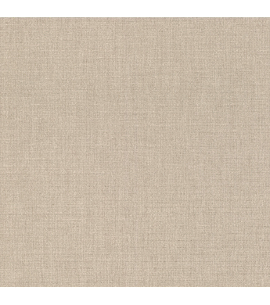Papier Peint RASCH Colors VI 484540