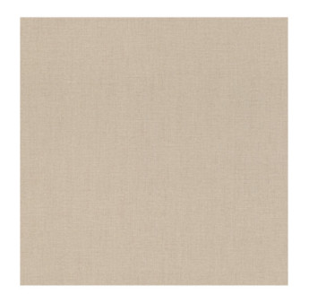 Papier Peint RASCH Colors VI 484540