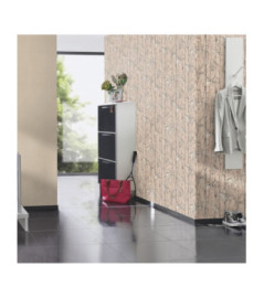 Papier Peint RASCH Colors VI 484540