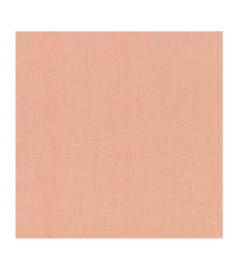 Papier Peint RASCH Colors VI 484557
