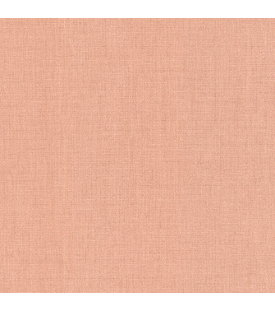 Papier Peint RASCH Colors VI 484557