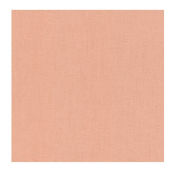 Papier Peint RASCH Colors VI 484557