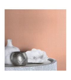 Papier Peint RASCH Colors VI 484557