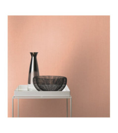 Papier Peint RASCH Colors VI 484557