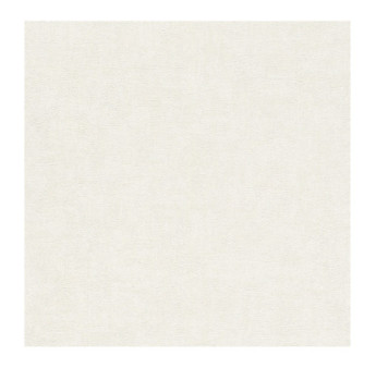 Papier Peint RASCH Colors VI 489965