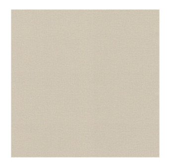 Papier Peint RASCH Colors VI 555851