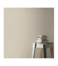 Papier Peint RASCH Colors VI 555851