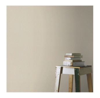 Papier Peint RASCH Colors VI 555851