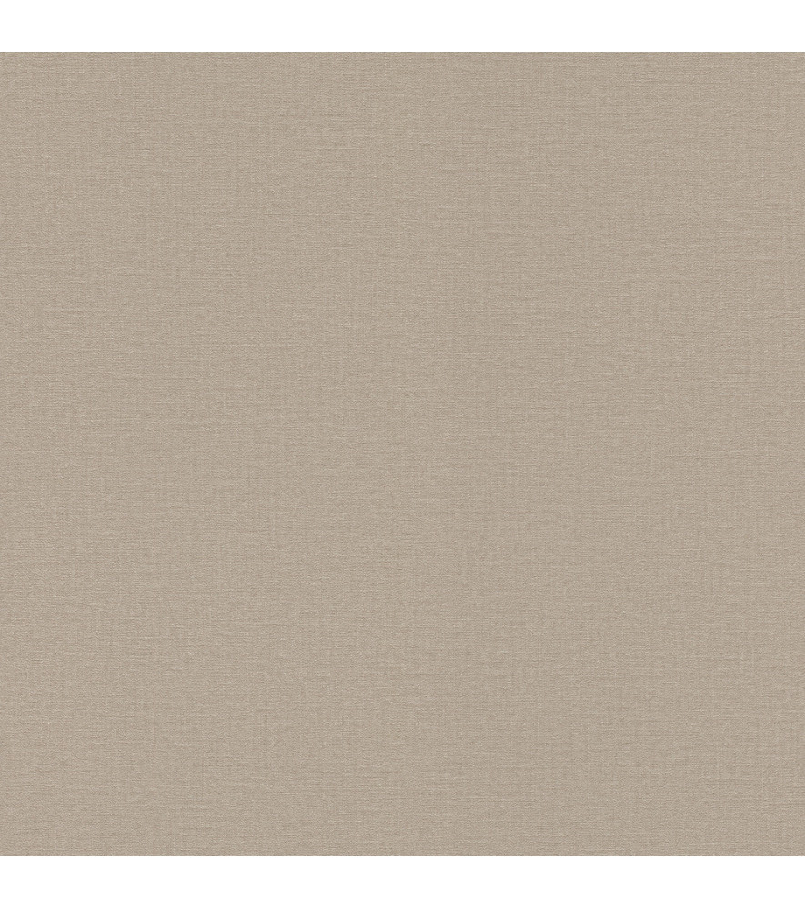 Papier Peint RASCH Colors VI 555868