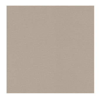 Papier Peint RASCH Colors VI 555868