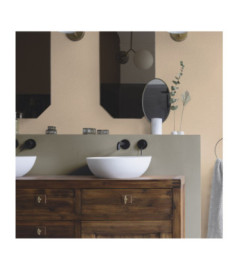 Papier Peint RASCH Colors VI 555882