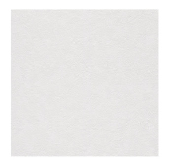 Papier Peint RASCH Colors VI 770322