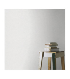 Papier Peint RASCH Colors VI 770322