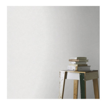 Papier Peint RASCH Colors VI 770322