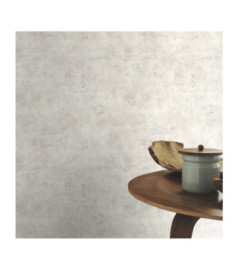 Papier Peint RASCH Colors VI 939521