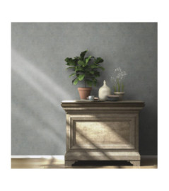Papier Peint RASCH Colors VI 939545