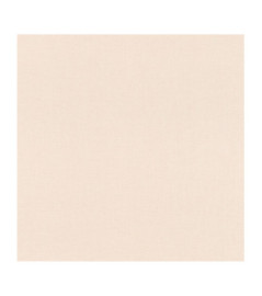 Papier Peint RASCH Allegretto 690781