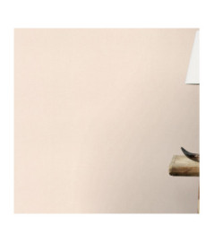 Papier Peint RASCH Allegretto 690781