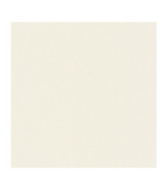 Papier Peint RASCH...