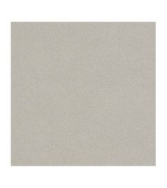 Papier Peint RASCH...