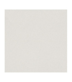 Papier Peint RASCH...