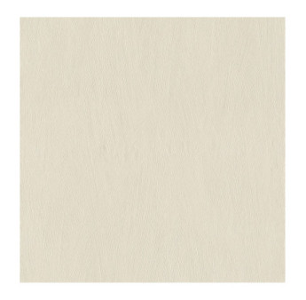 Papier Peint RASCH Allegretto 540819