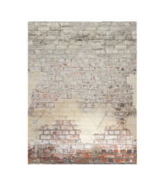Panoramique Caselio Collection RELIEFS BRICKWALL RLF106251026 212x280cm Taupe