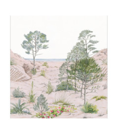 Panoramique Caselio Collection RELIEFS SAND DUNE RLF106377038 265x280cm Nature