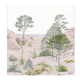 Panoramique Caselio Collection RELIEFS SAND DUNE RLF106377038 265x280cm Nature