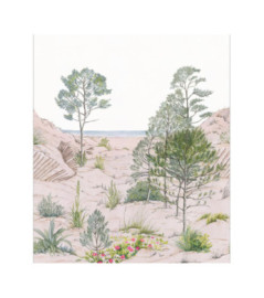 Panoramique Caselio Collection RELIEFS SAND DUNE RLF106377039 265x310cm Nature