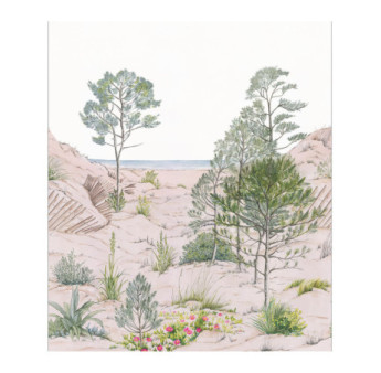 Panoramique Caselio Collection RELIEFS SAND DUNE RLF106377039 265x310cm Nature