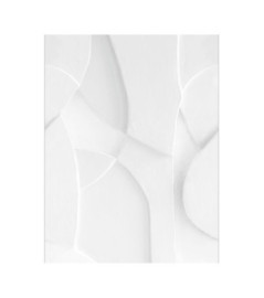 Panoramique Caselio Collection RELIEFS PLASTER VOLUMN RLF106380026 212x280cm Blanc