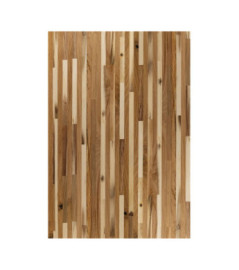Panoramique Caselio Collection RELIEFS WOODWALL RLF106422027 212x310cm Marron