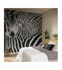 Panoramique RASCH collection AFRICAN QUEEN III 363609 371x300cm